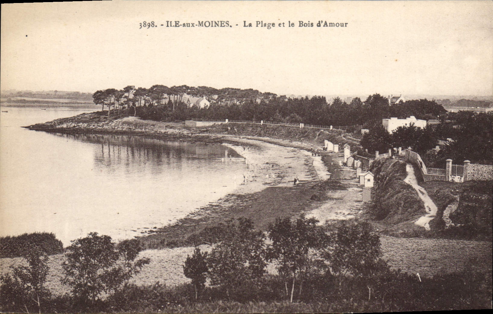 CPA Ile Aux Moines La Plage Et Le Bois D'Amour