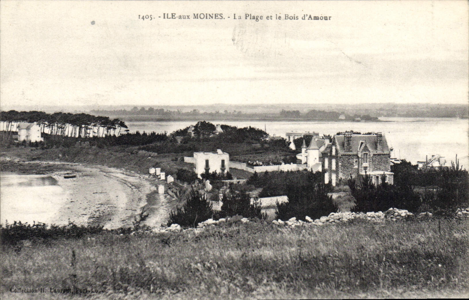 CPA Ile Aux Moines La Plage Et Le Bois D'Amour