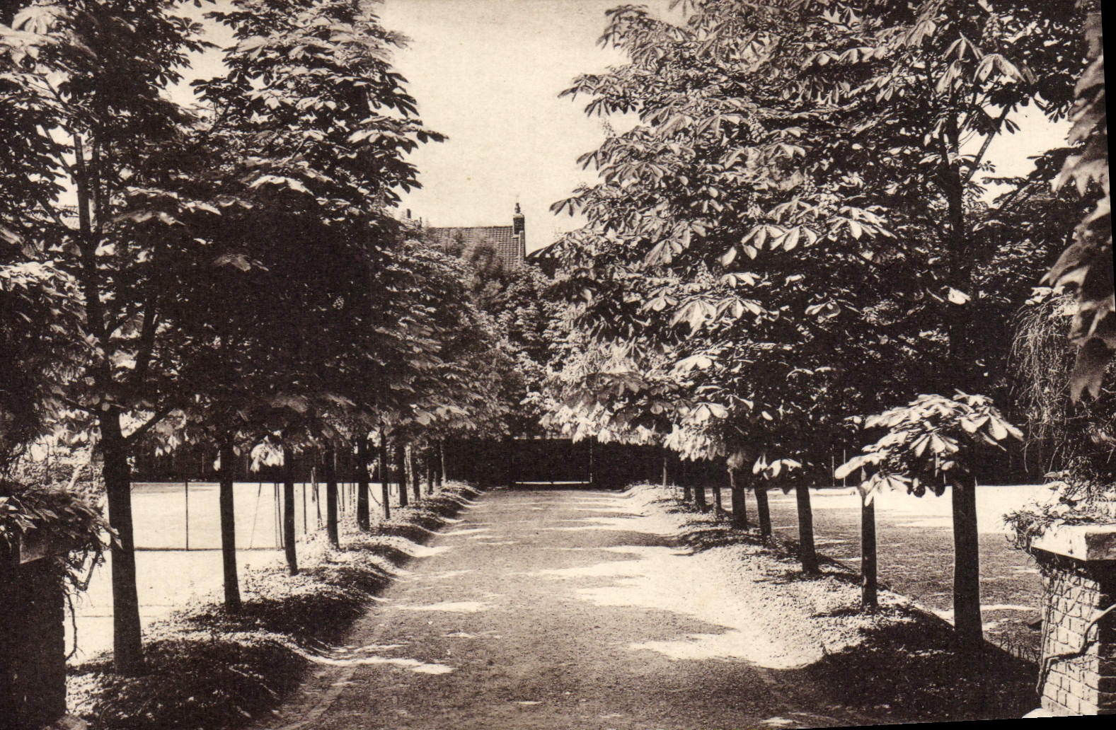 CPA Roubaix Allee Des Marronniers institution de Ségur