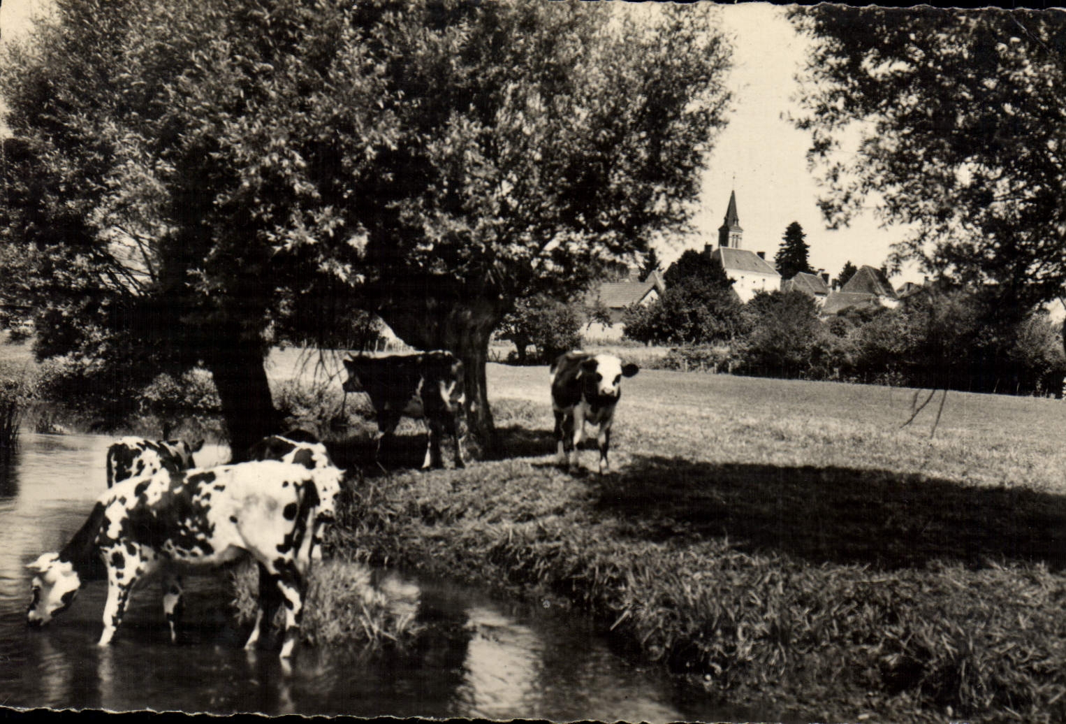 CPA Remalard L'Huisne à Boissy-Maugis