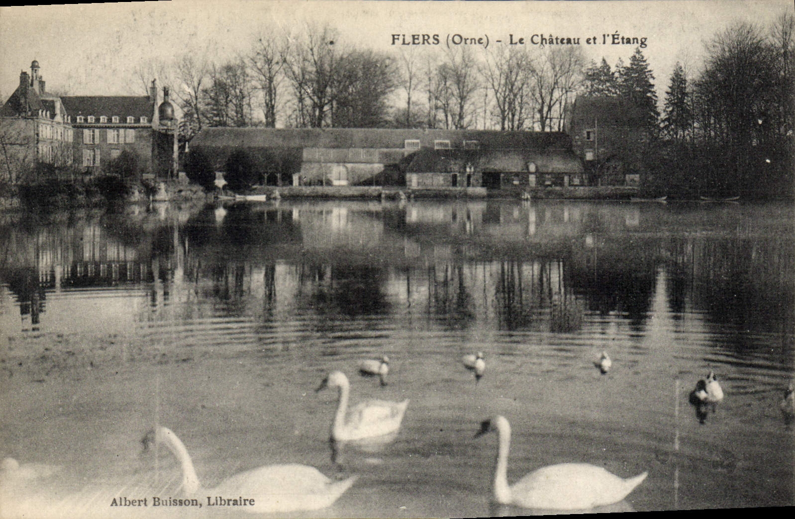 CPA Flers Le Chateau Et I'Etang
