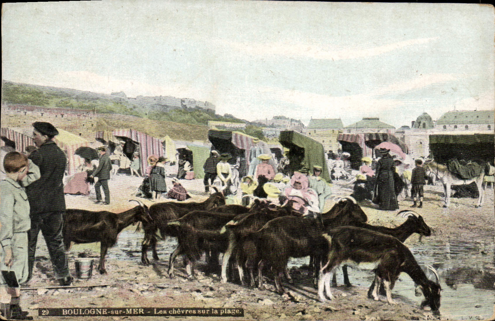 CPA Boulogne Sur Mer les chèvres sur La Plage