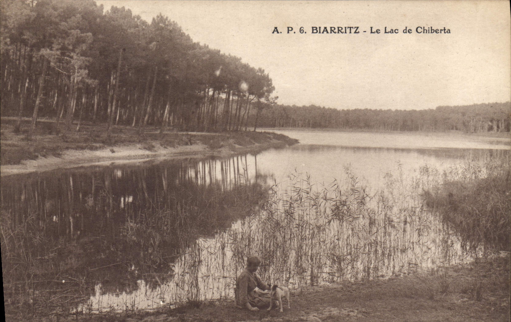 CPA Biarritz Le Lac De Chiberta