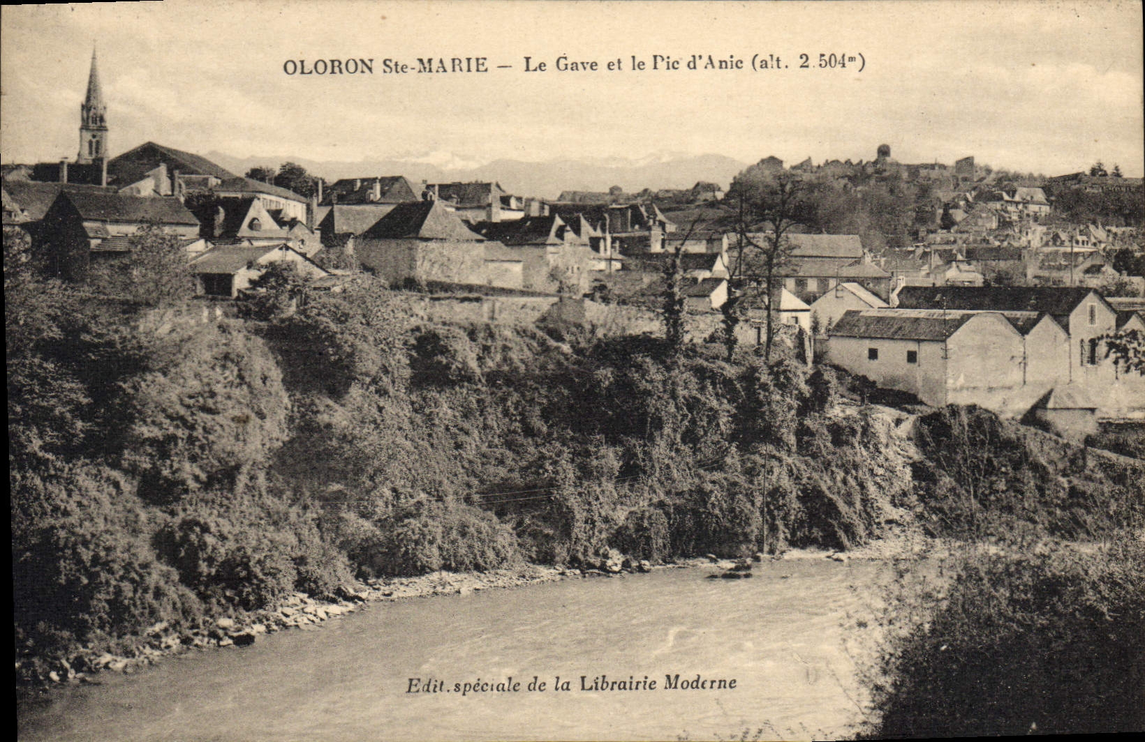 CPA Oloron Ste Marie Le Gave Et Le Pic