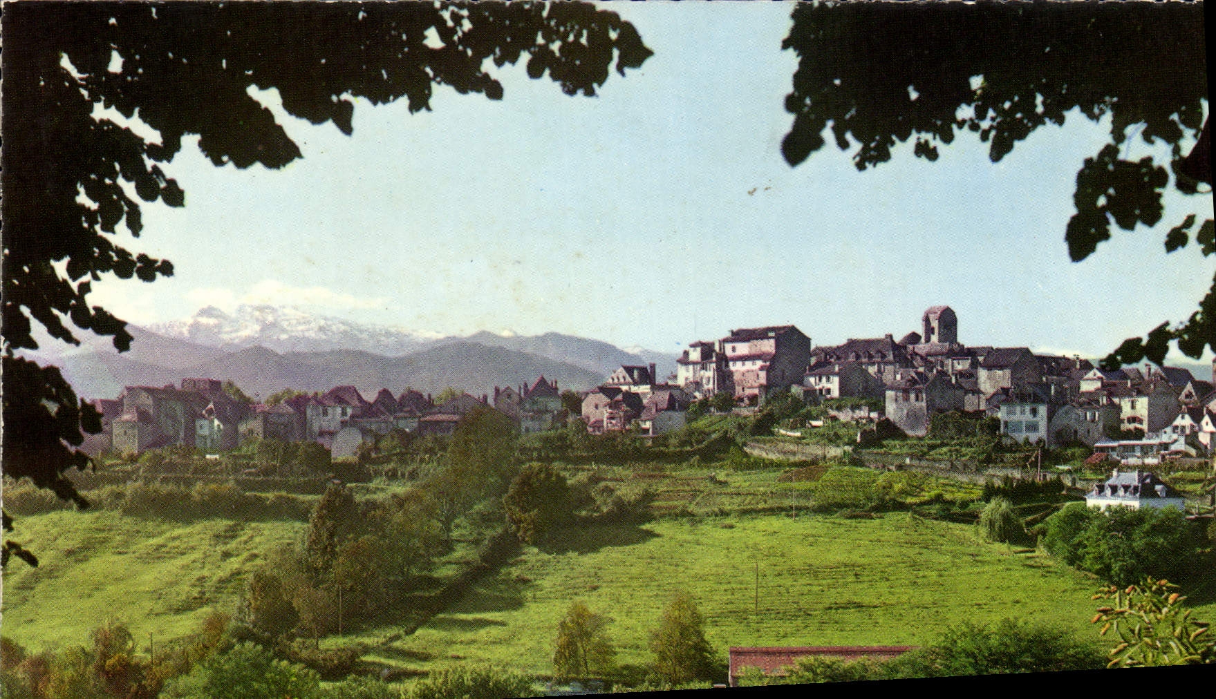 CPSM Oloron Sainte Marie Le Quartier Ste Croix