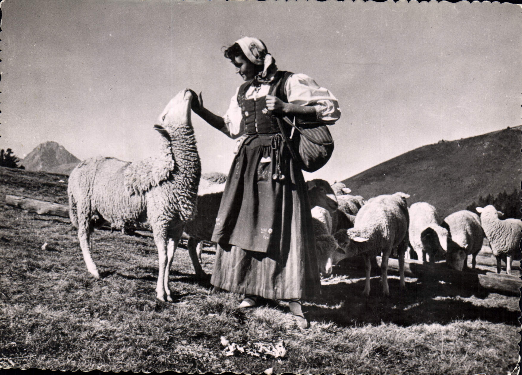CPSM gracieuse Bergere Sur Les Hauts Paturages