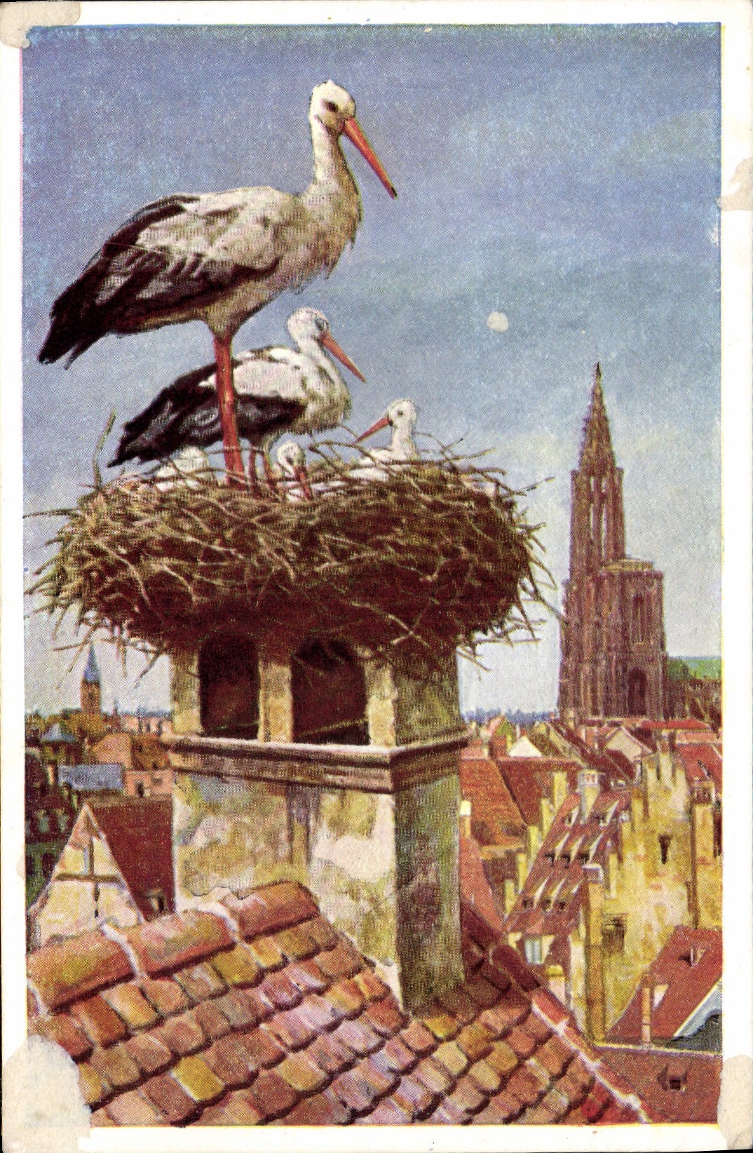 CPA Nid De Cigognes