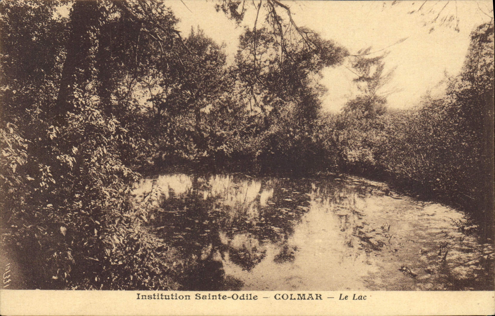 CPA Colmar Saint Odile Le Lac