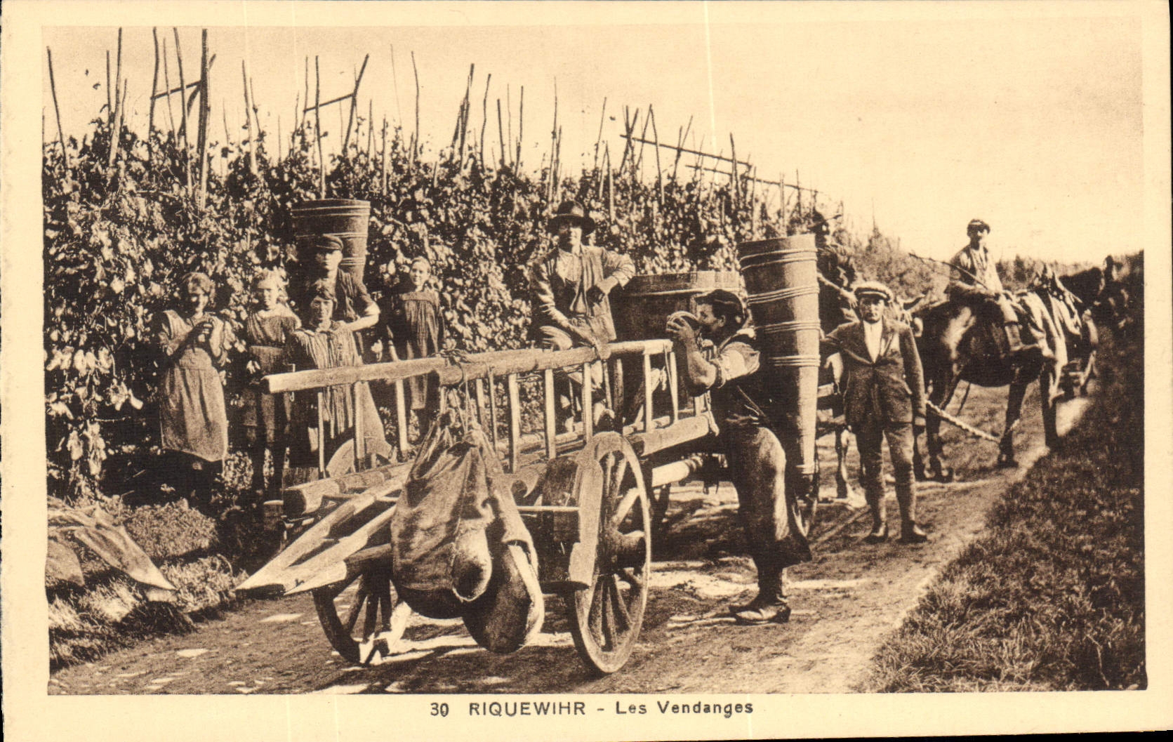 CPA Riquewihr Les Vendanges
