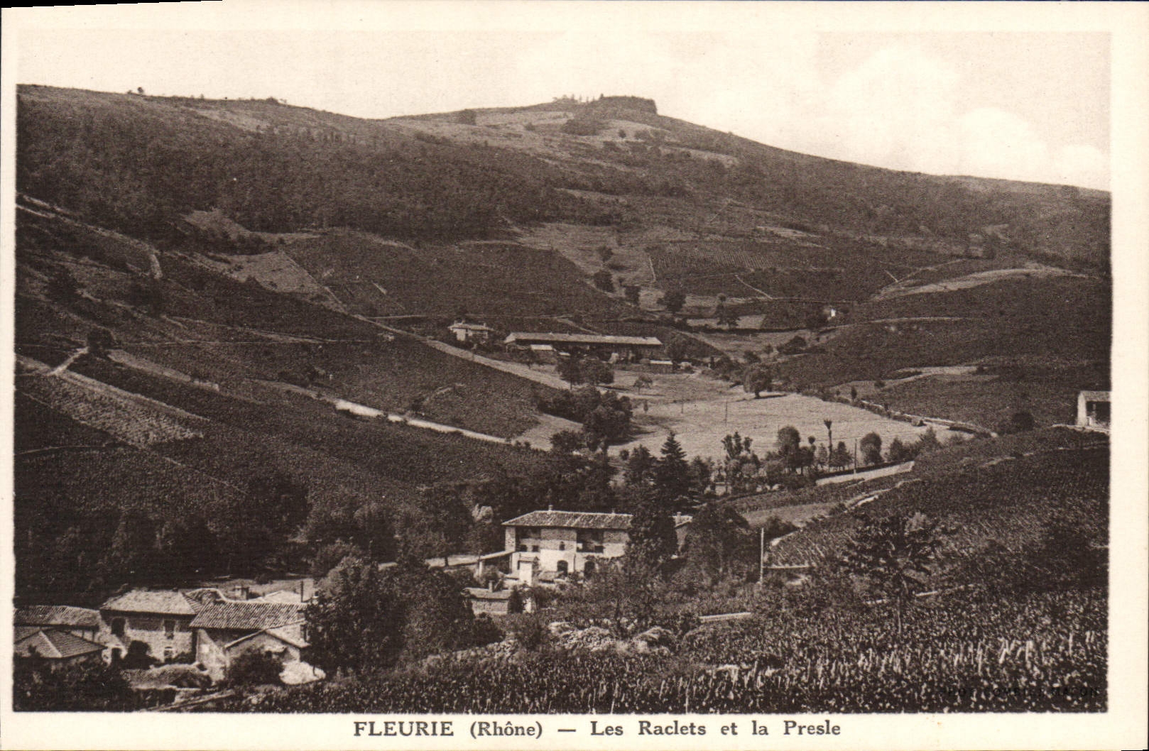 CPA Fleurie Les Raclets Et La Presle