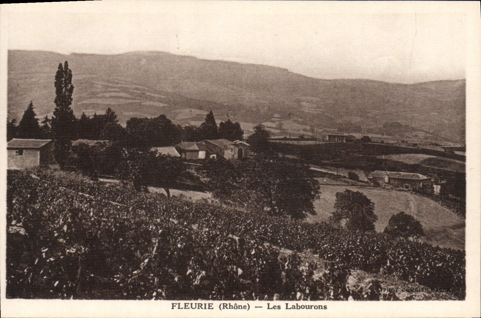 CPA Fleurie Les Labourons