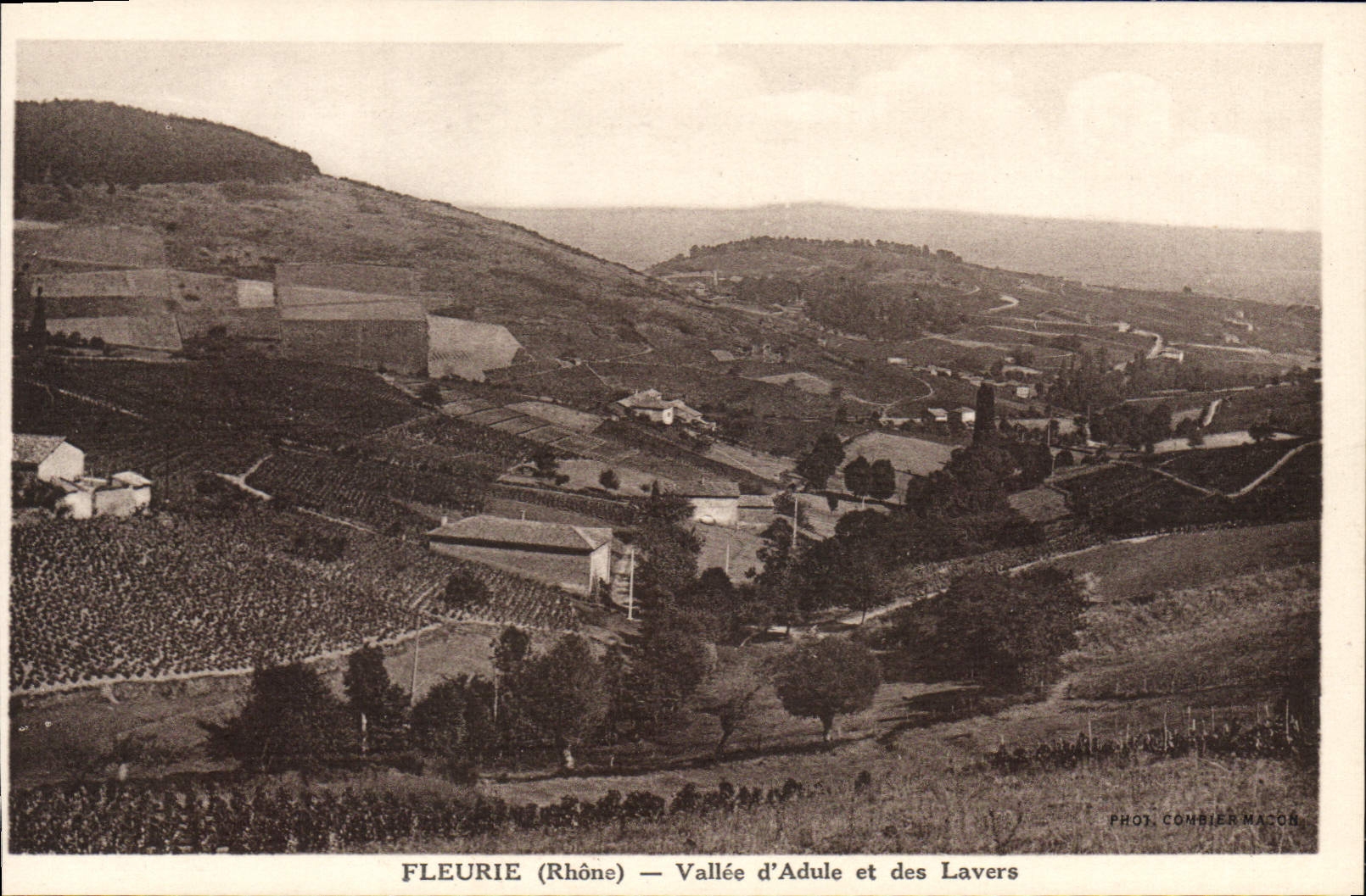 CPA Fleurie Vallee D'Adule Et Des Lavers