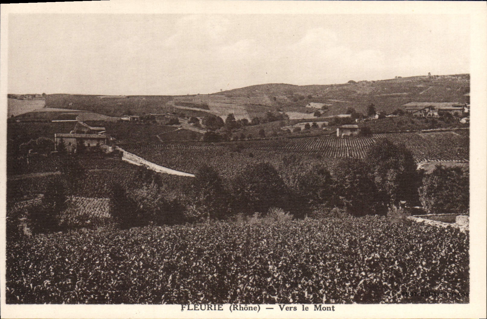 CPA Fleurie Vers Le Mont