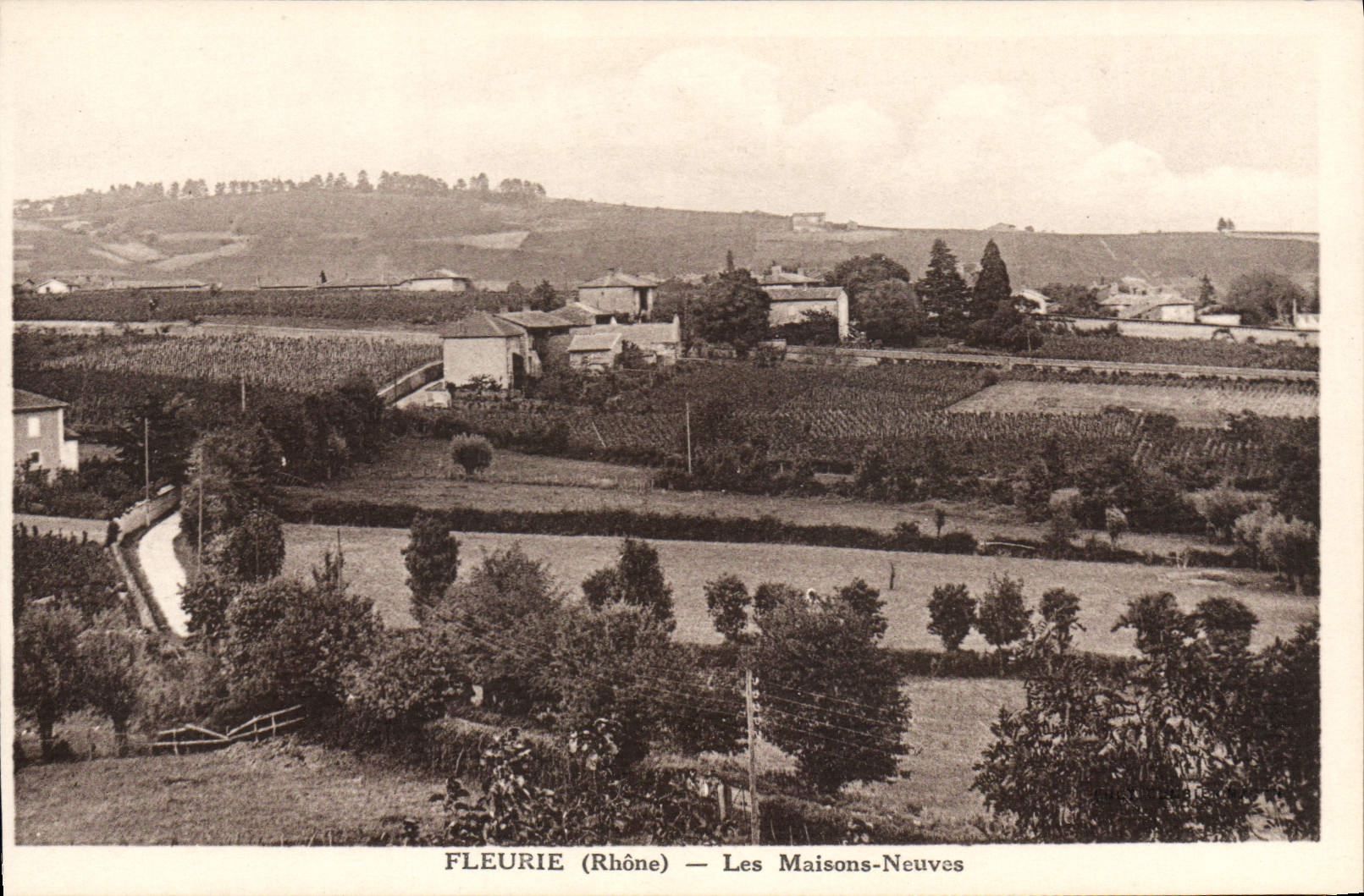 CPA Fleurie Les Maisons Neuves