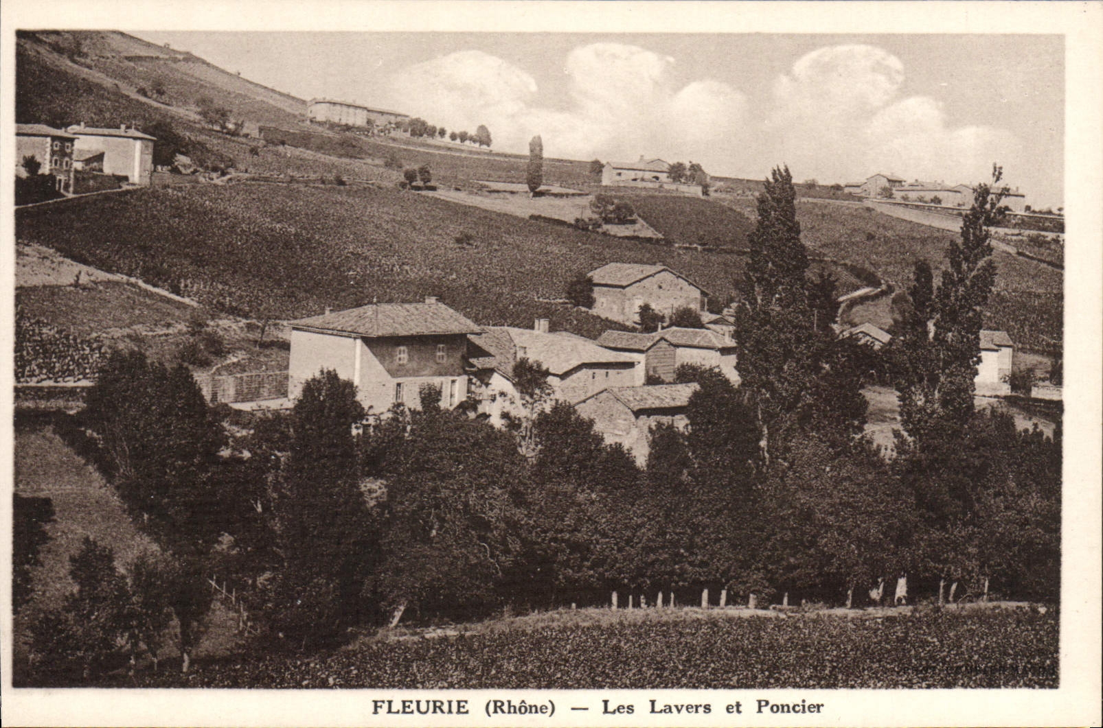 CPA Fleurie Les Lavers Et Poncier