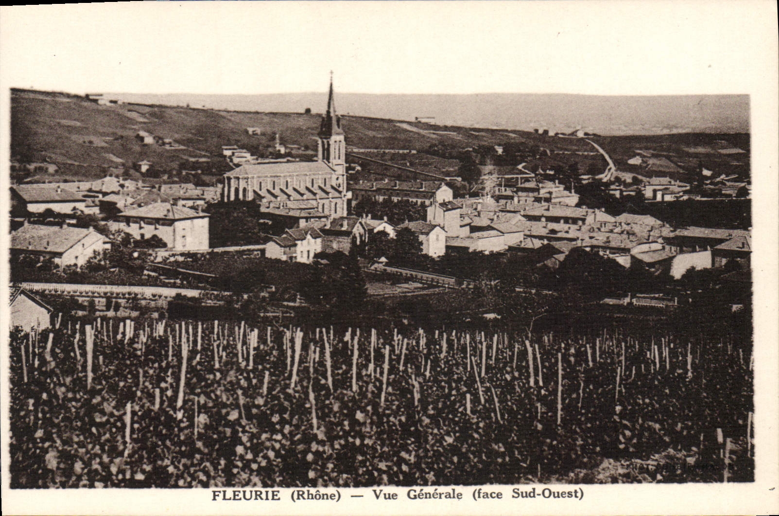 CPA Fleurie Vue Generale