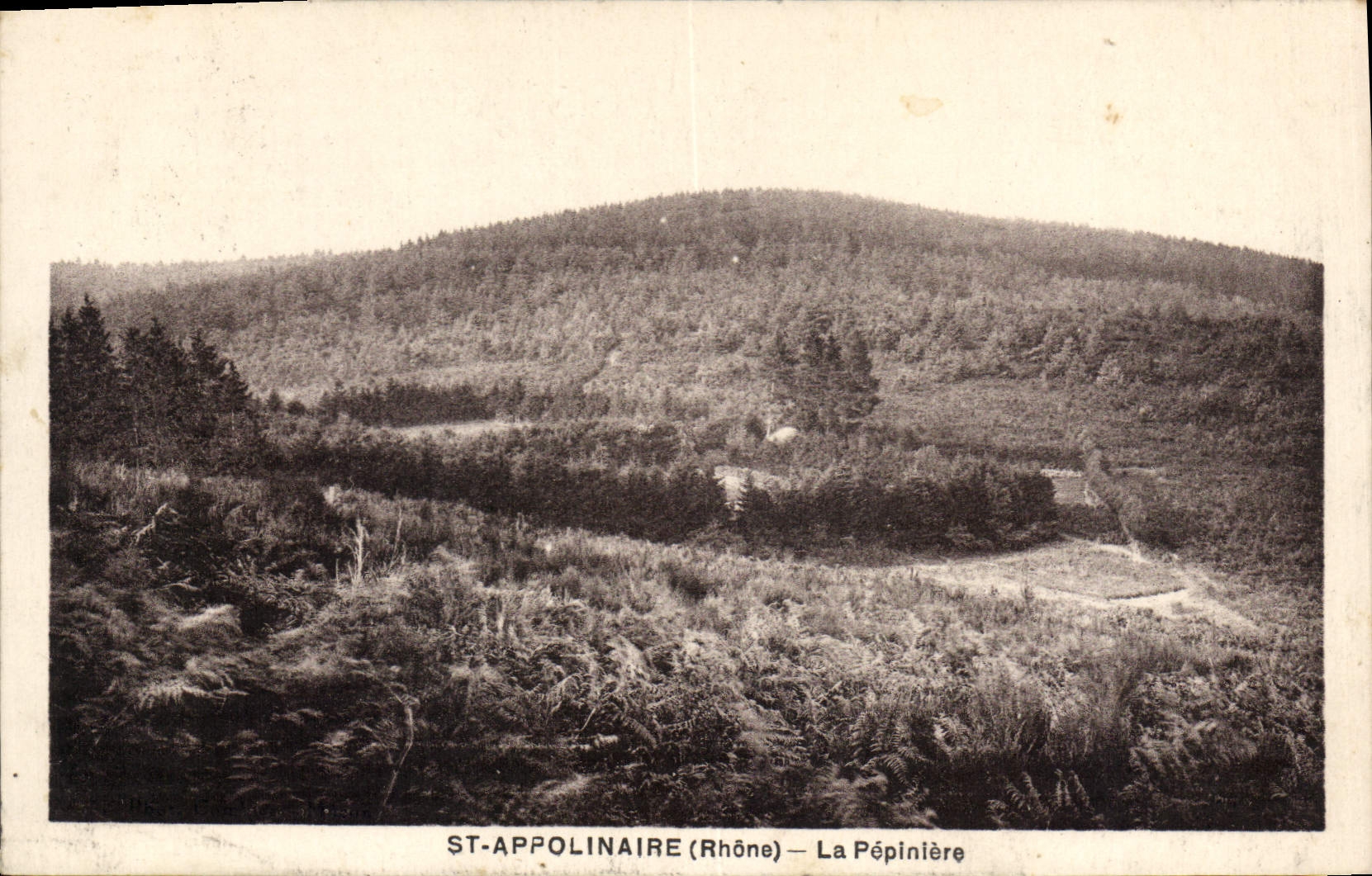 CPA St Appolinaire La Pepinlere
