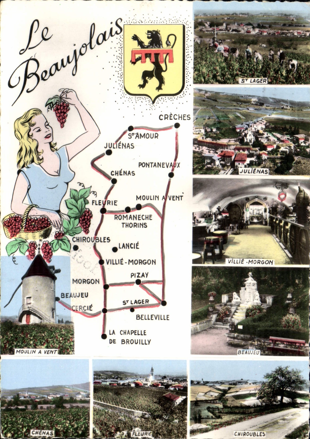 CPSM Le Beaujolais