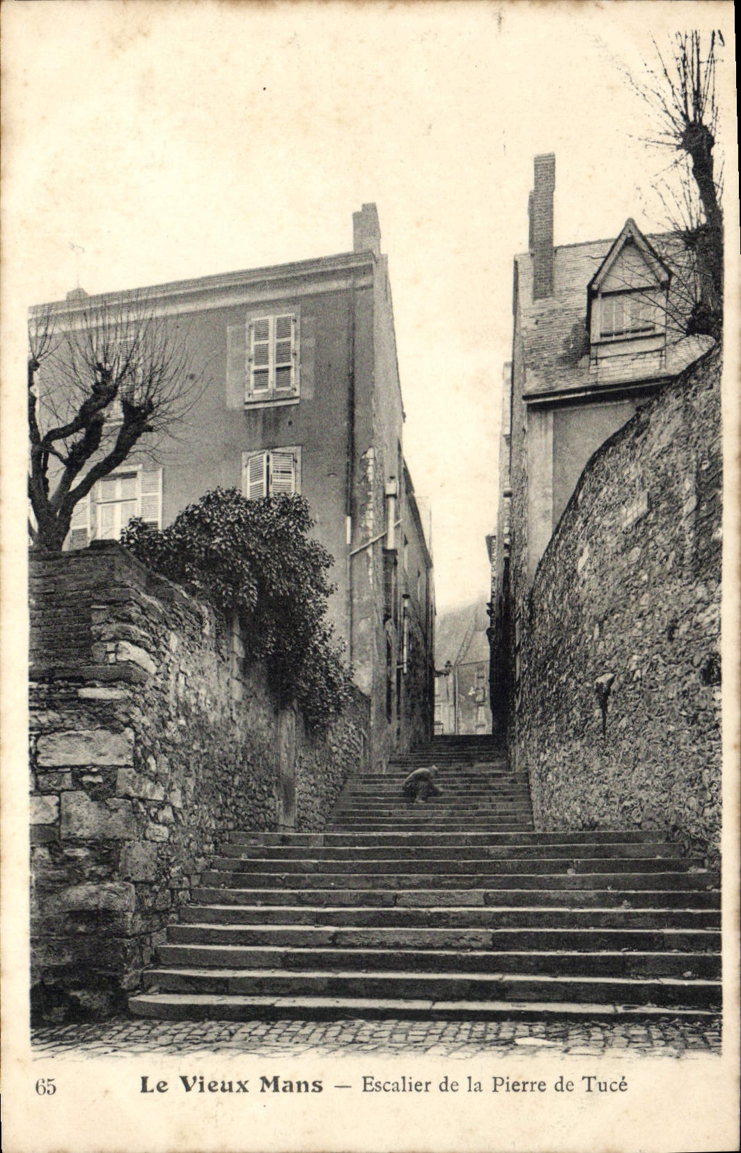 CPA Le Mans Escalier De La Pierre De Tuce