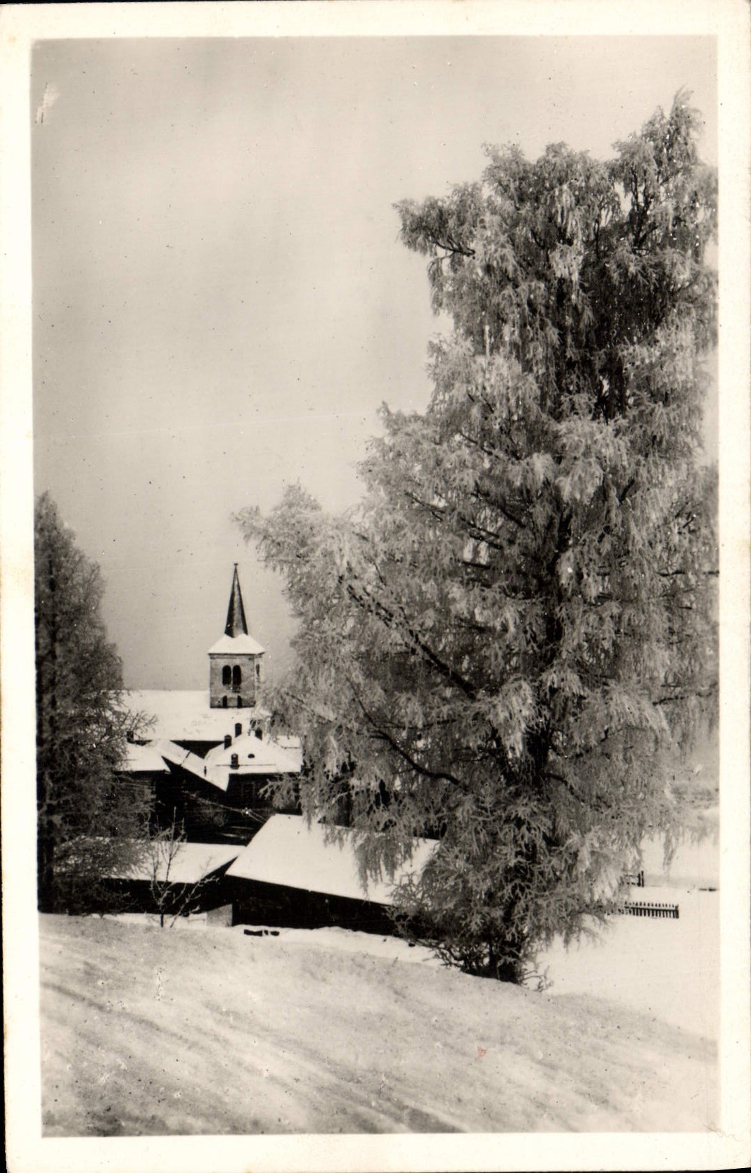 CPA L'Hiver A Saint Bon Effet de givre