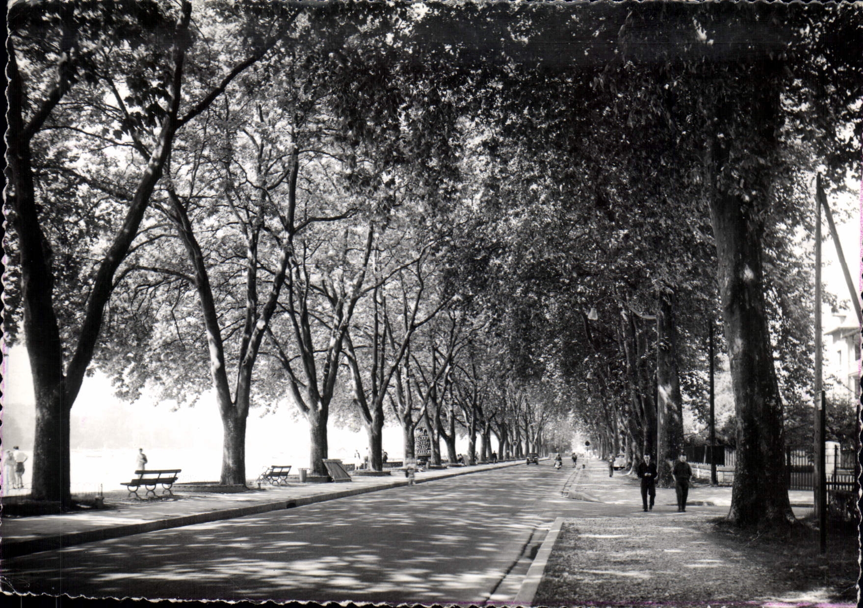 CPSM Annecy avenue d'Albigny