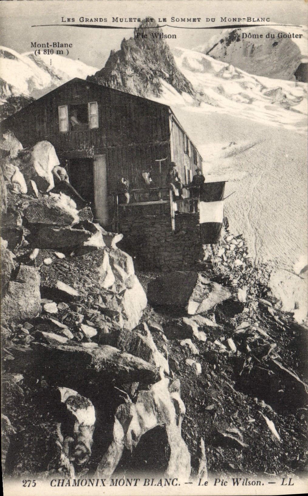 CPA Chamonix Mont Blanc Le Pic Wilson