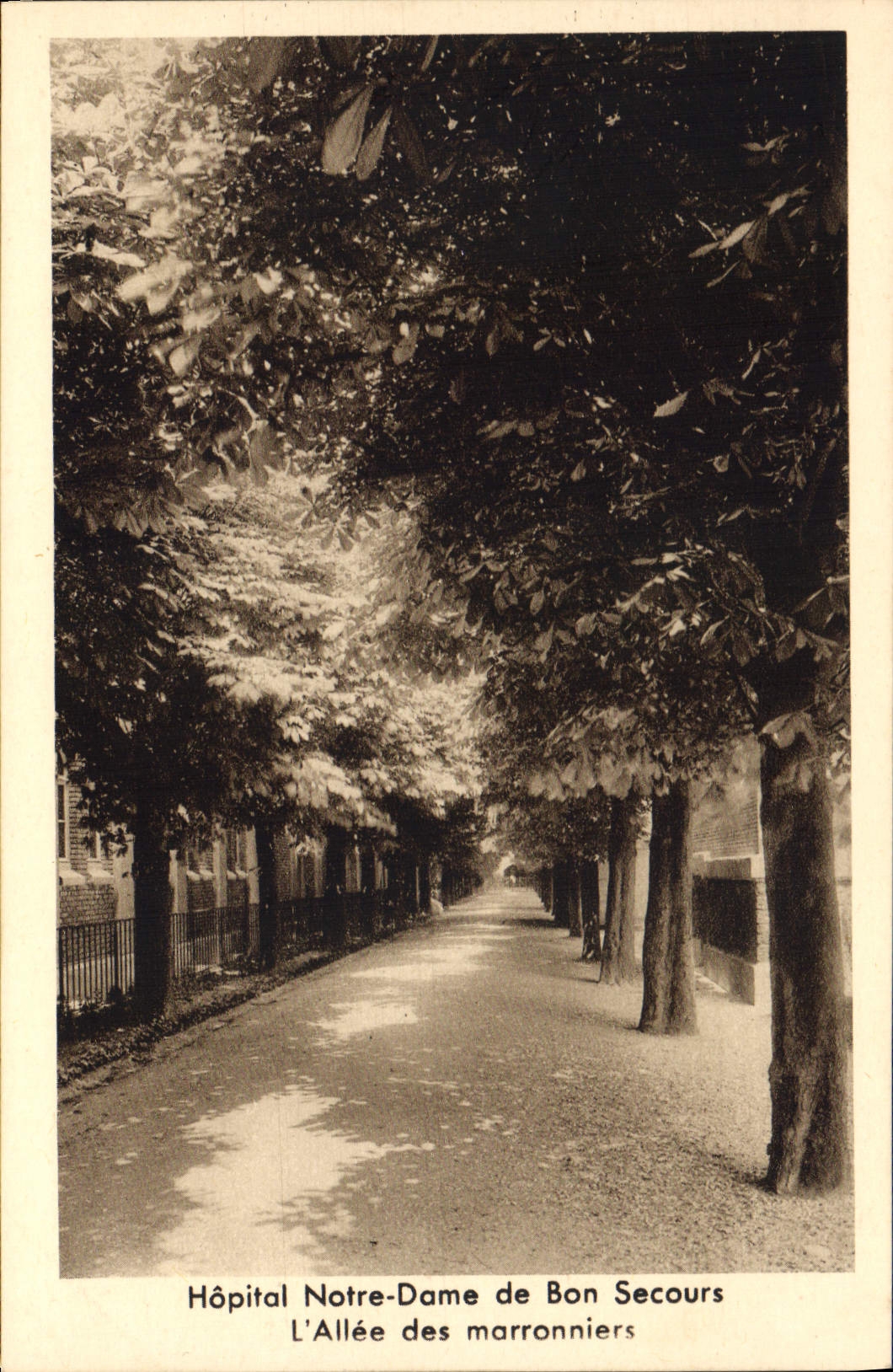 CPA Hopital Notre Dame De Bon Secours allée des marronniers