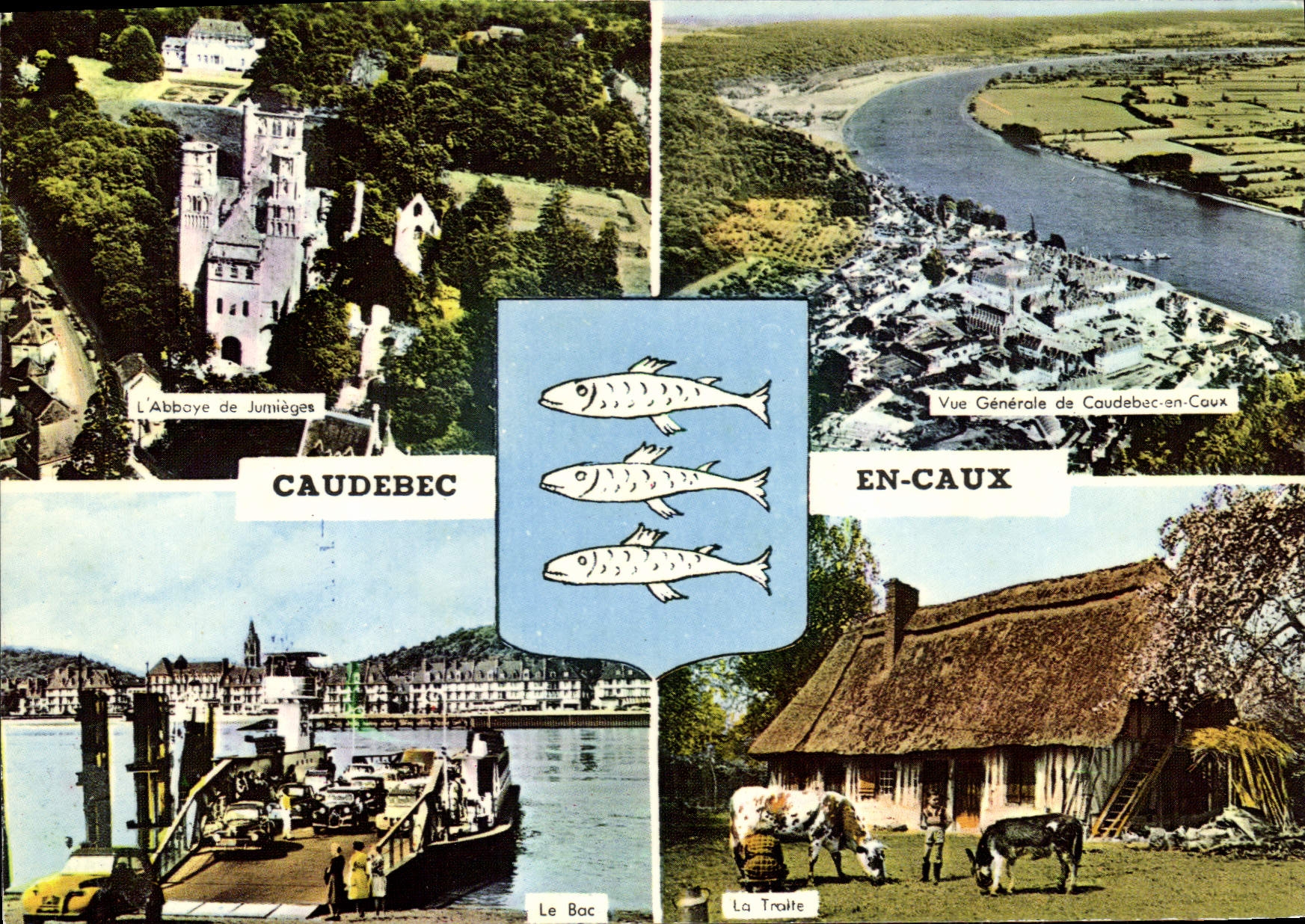 CPSM Caudebec En Caux