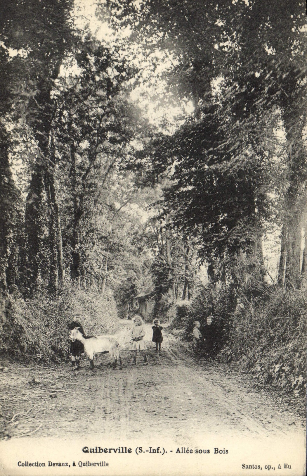 CPA Quiberville Allee Sous Bois enfants chèvre