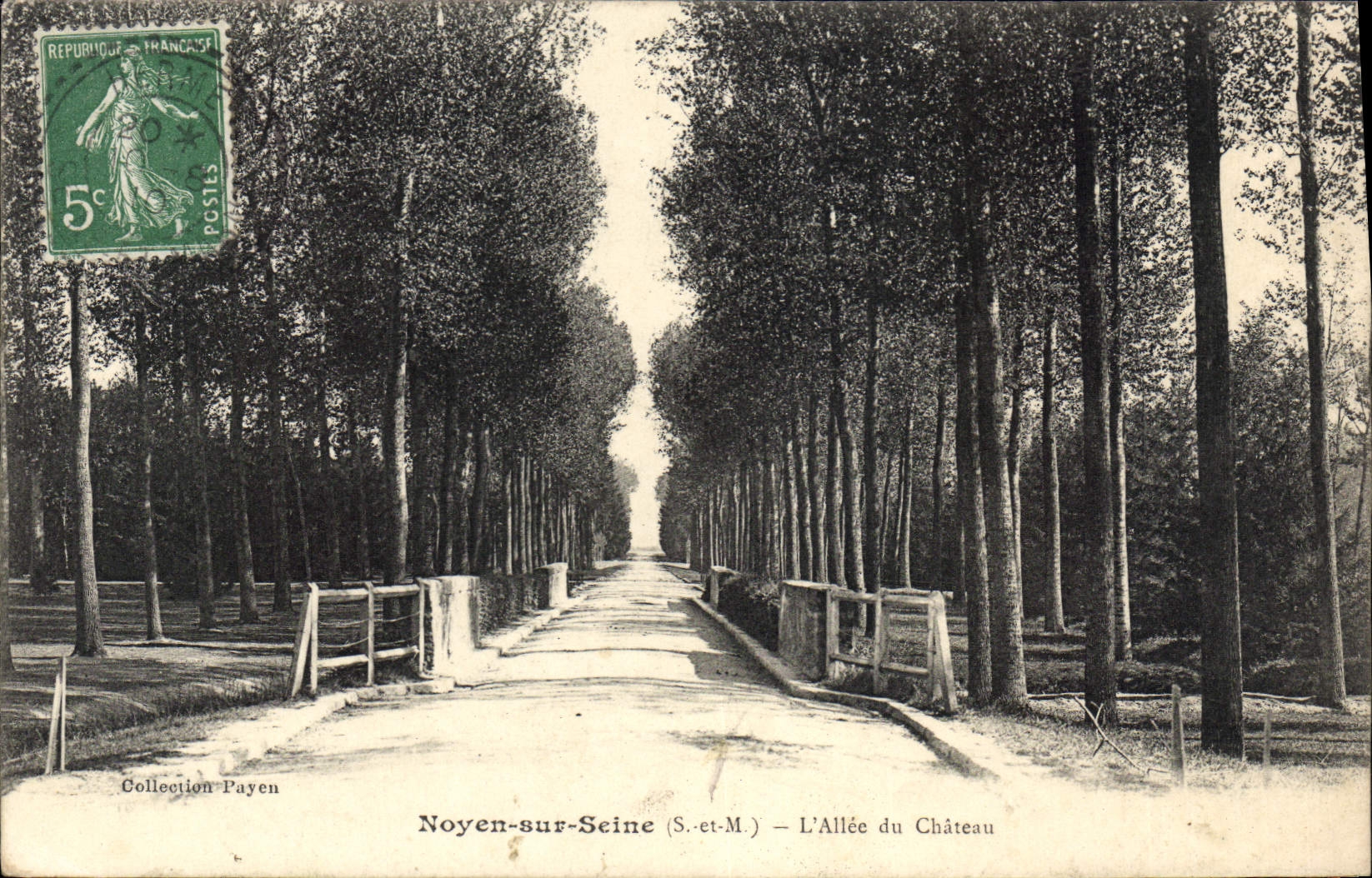 CPA Noyen Sur Seine L'Allee Du Chateau