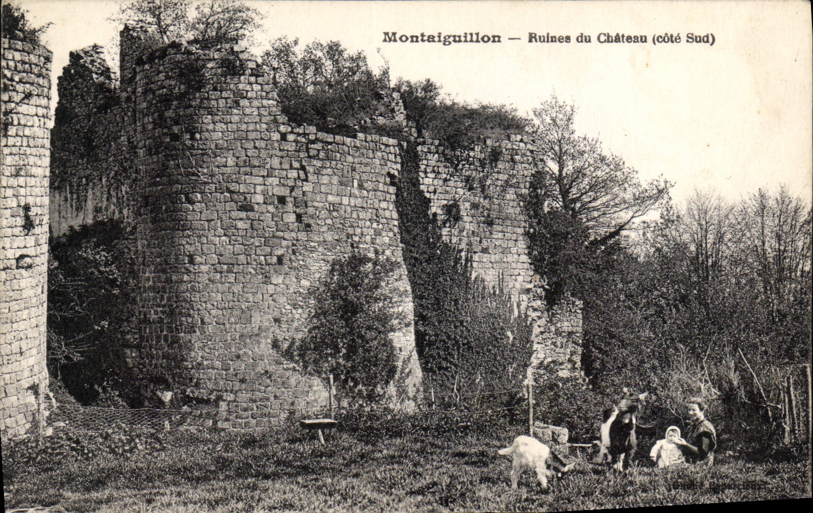 CPA Montaiguillon Ruines Du Château
