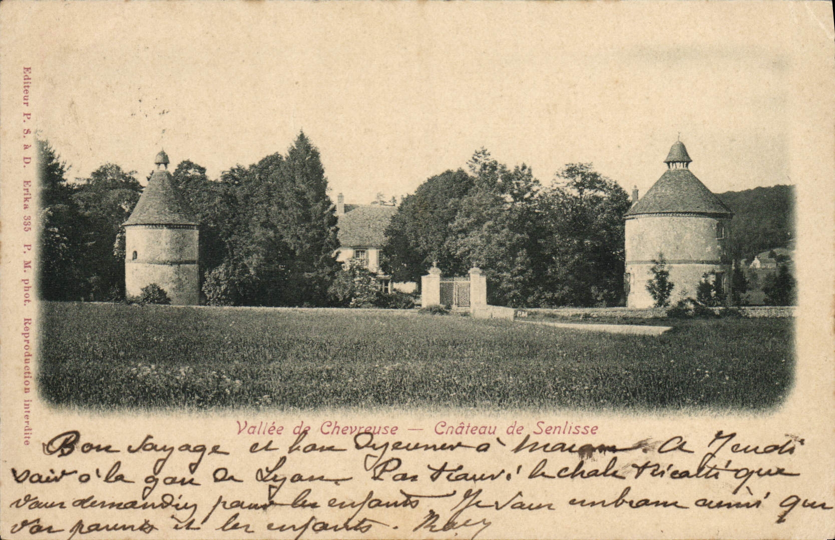 CPA Vallee De Chevreuse Chateau De Senlisse