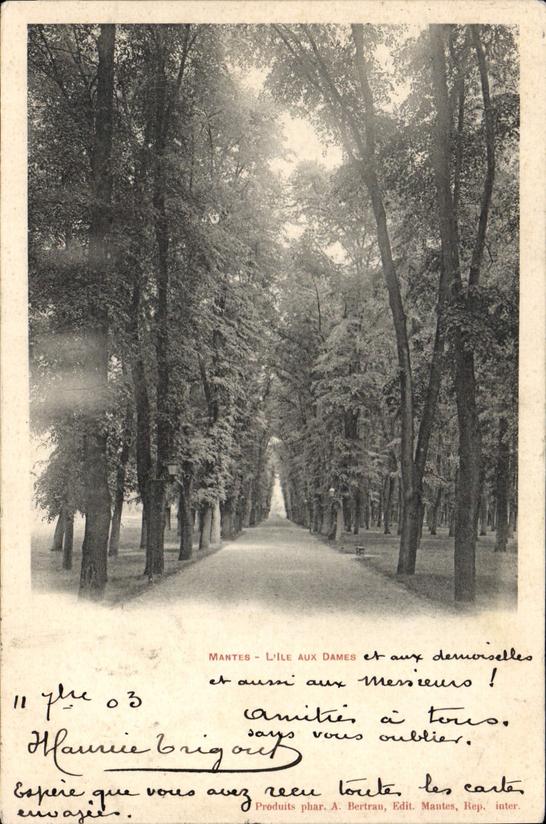 CPA Mantes I'Ile aux dames