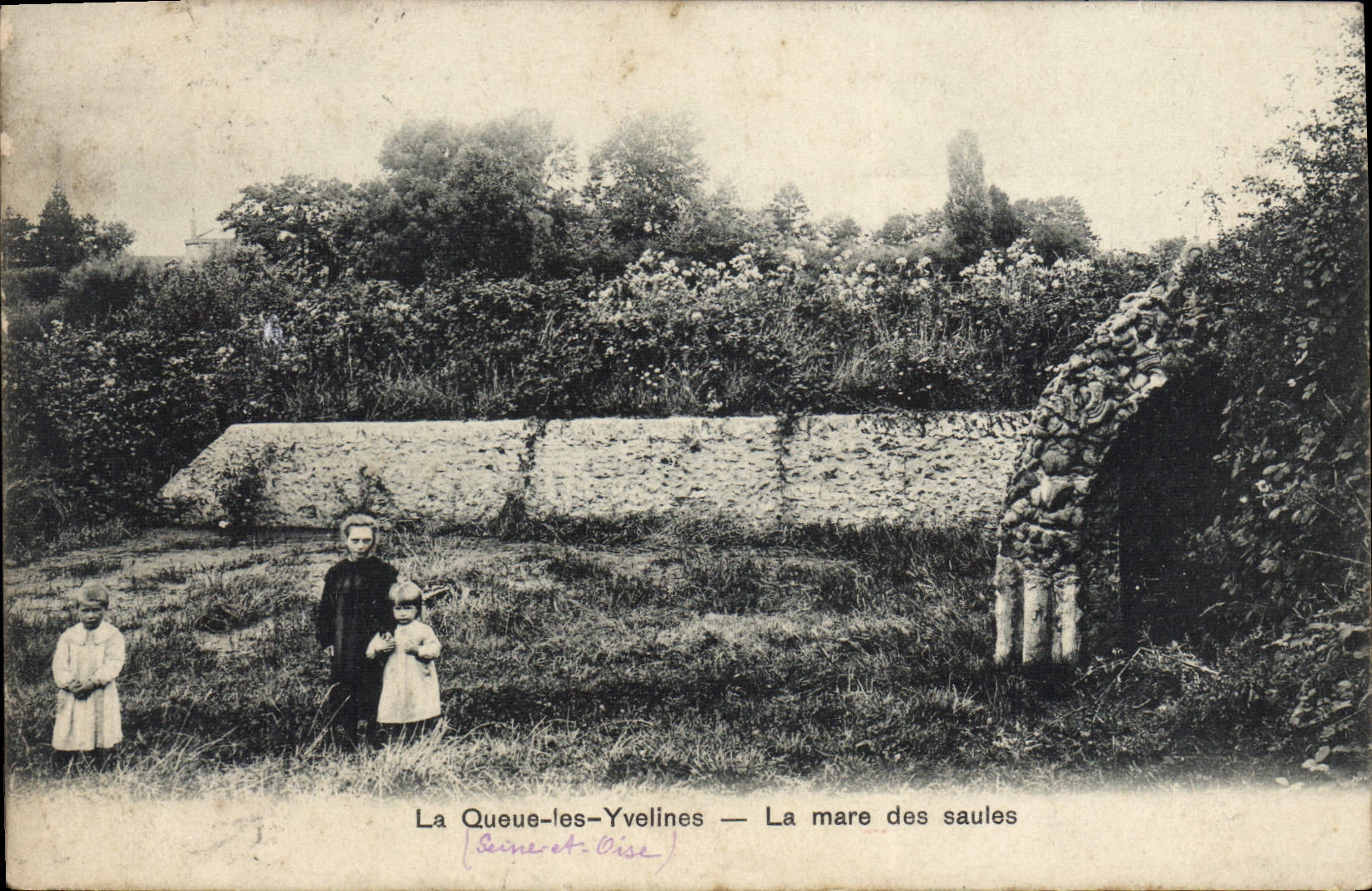 CPA La Queue des Yvelines La mare des saules