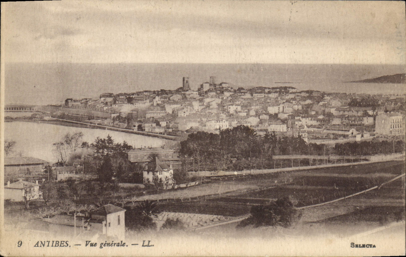 CPA Antibes Vue Generale