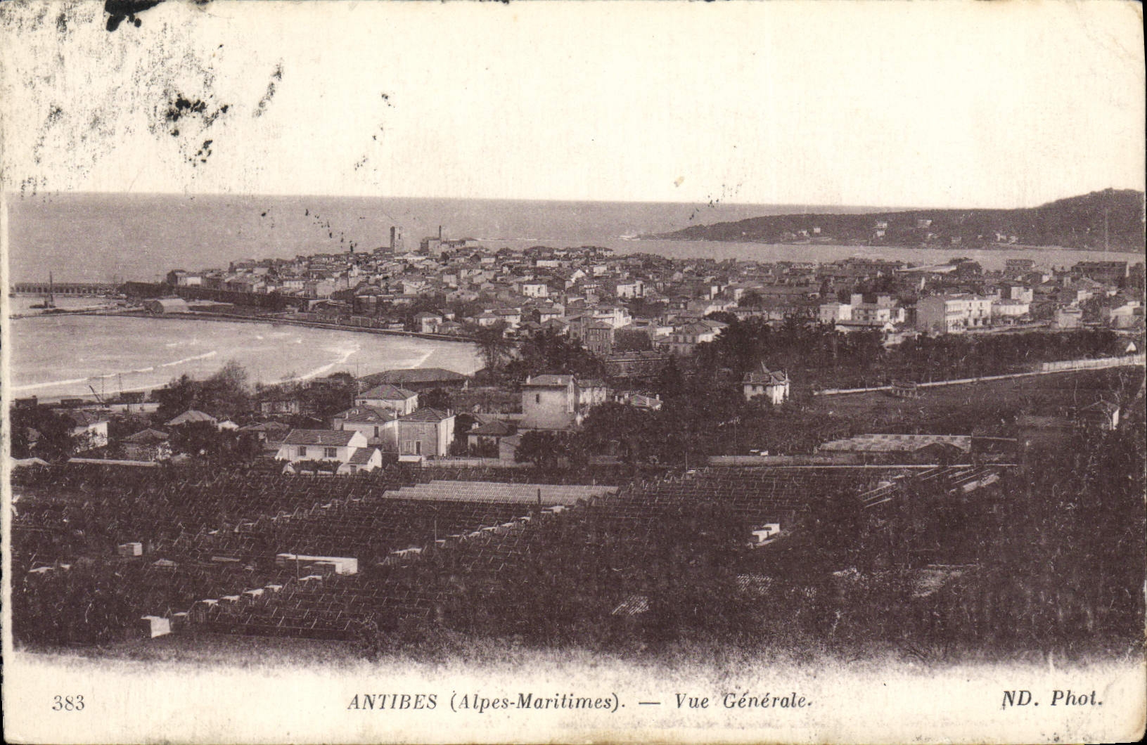 CPA Antibes Vue Generale