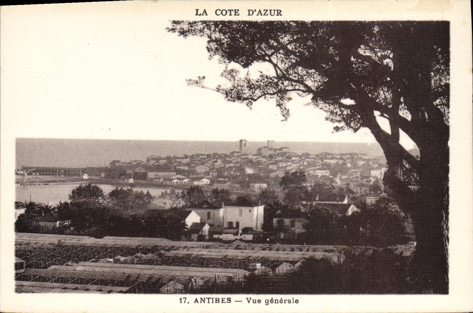 CPA Antibes Vue Generale