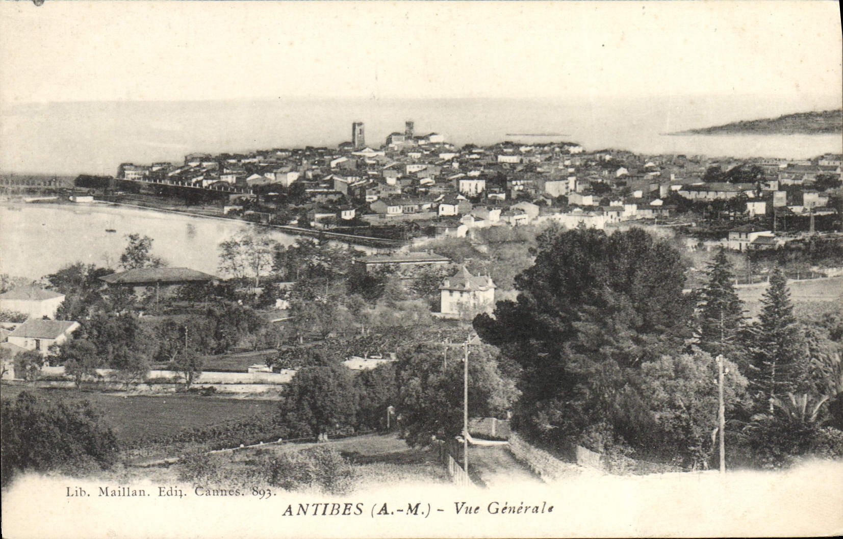 CPA Antibes Vue Generale