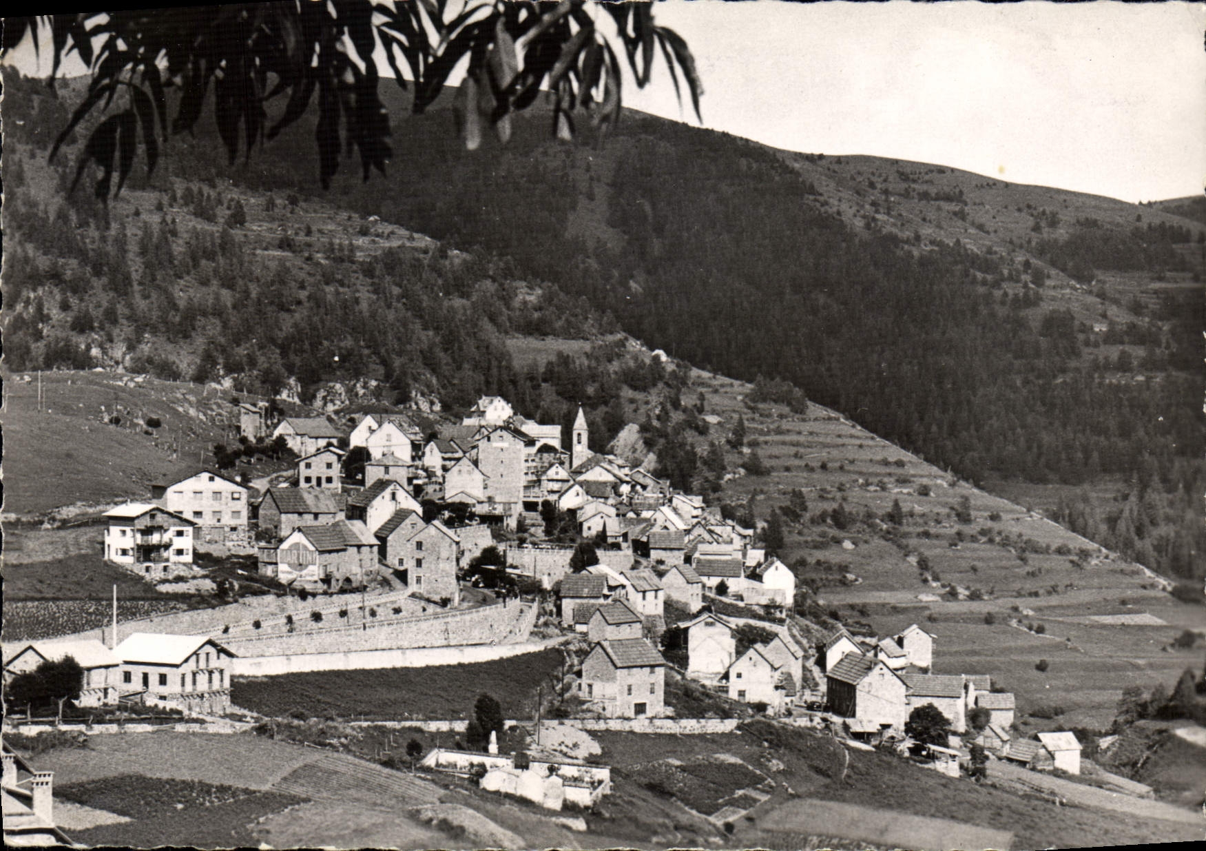 CPSM Beuil Vue Generale