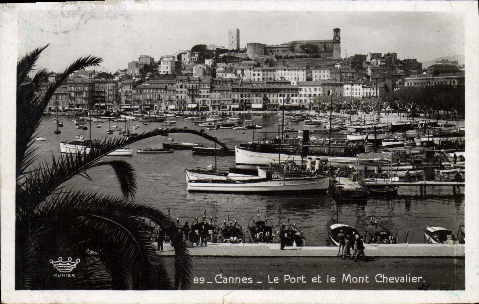 CPA Cannes Le Port Et Le Mont Chevalier