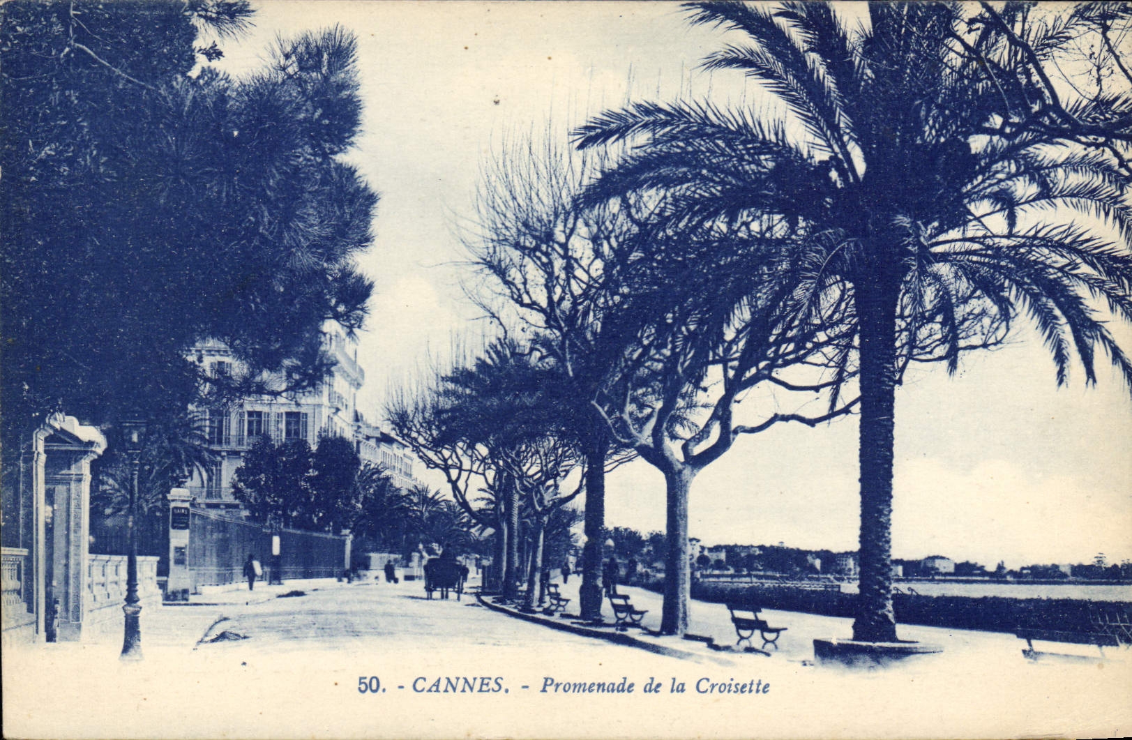 CPA Cannes Promenade De la Croisette