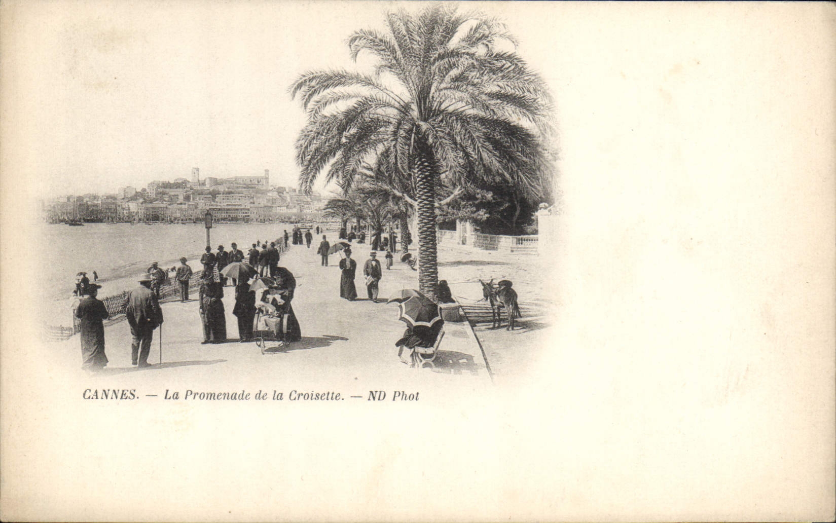 CPA Cannes La Promenade De la Croisette
