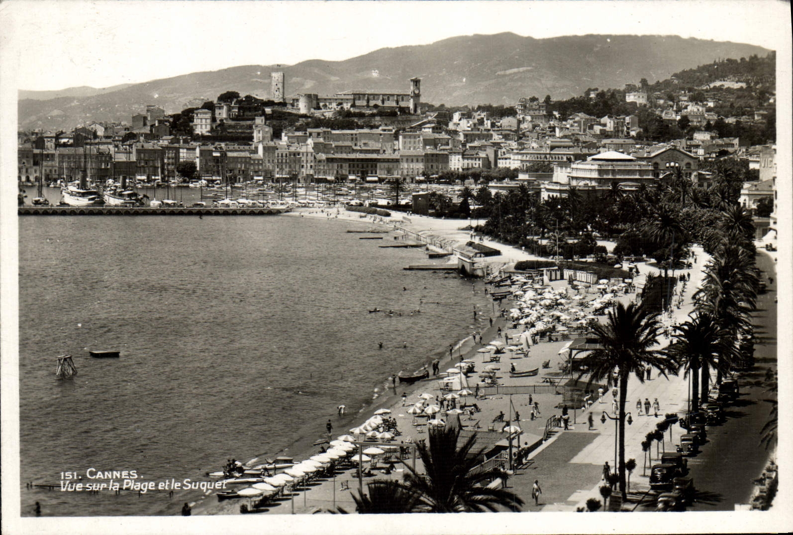 CPA Cannes Vue Sur La Plage Et le Suquet