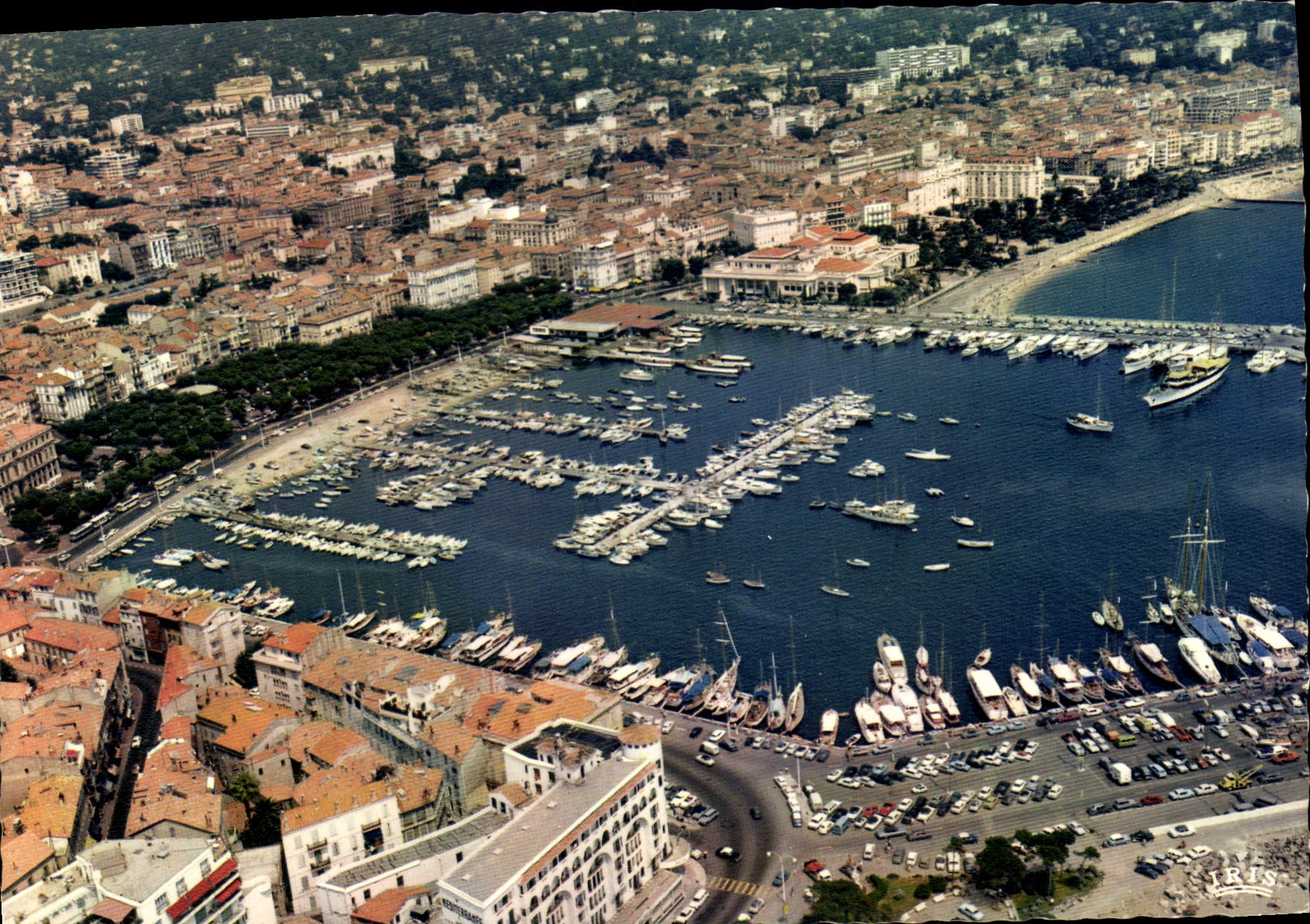 CPSM Cannes Vue Aerienne Sur Le Port Et le Centre Ville