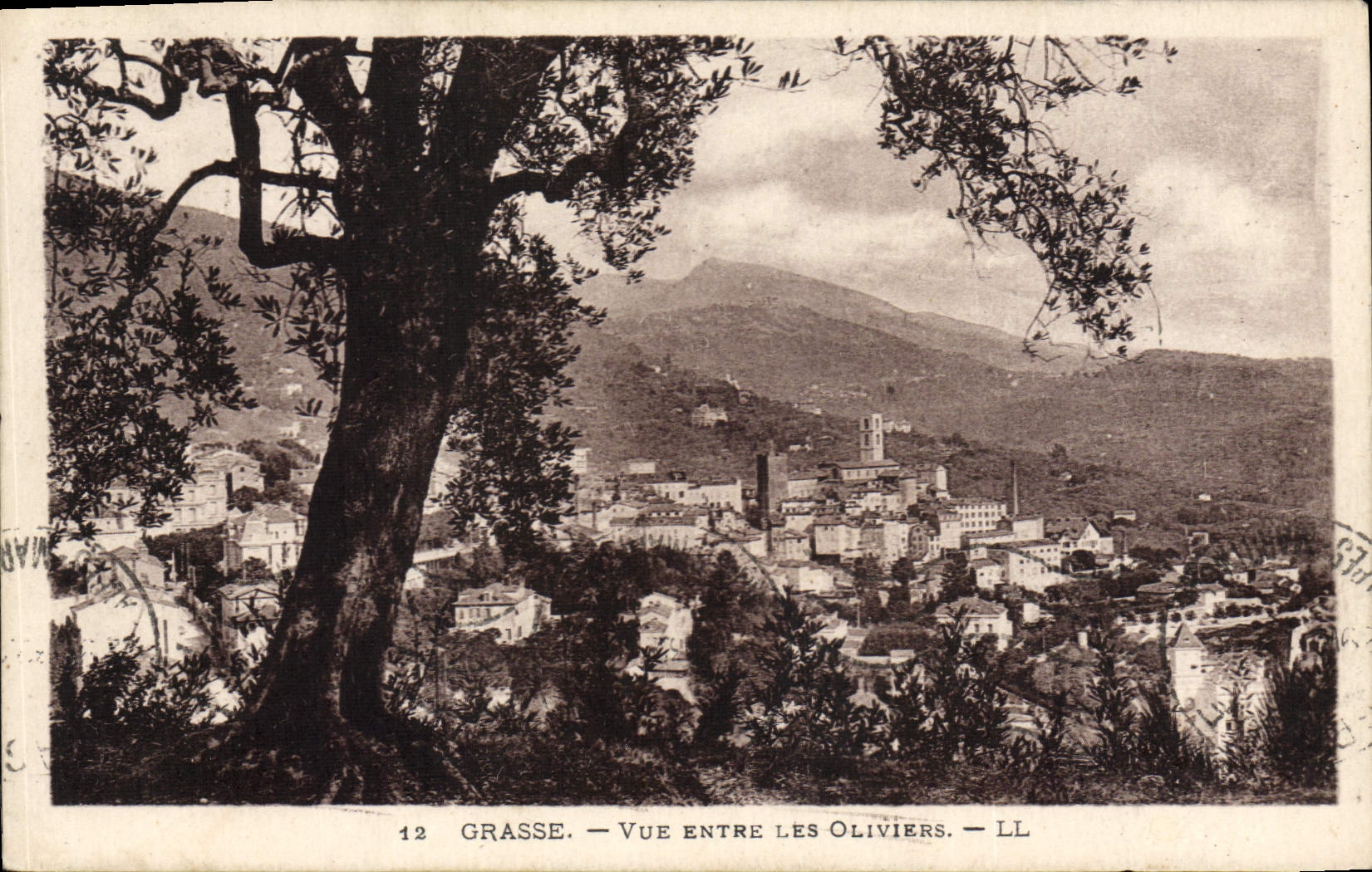 CPA Grasse Vue Entre Les Oliviers