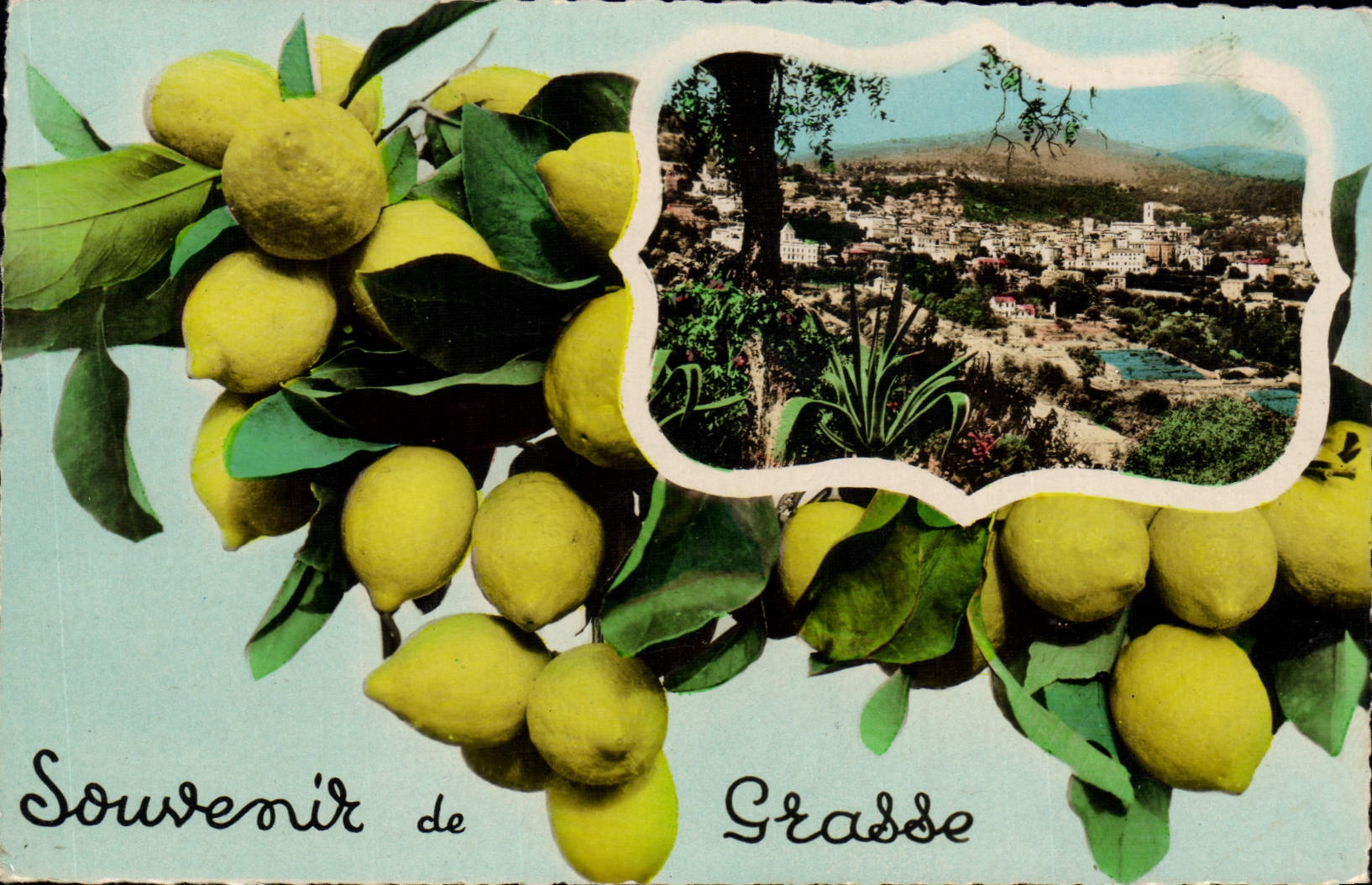 CPA Grasse souvenir citron
