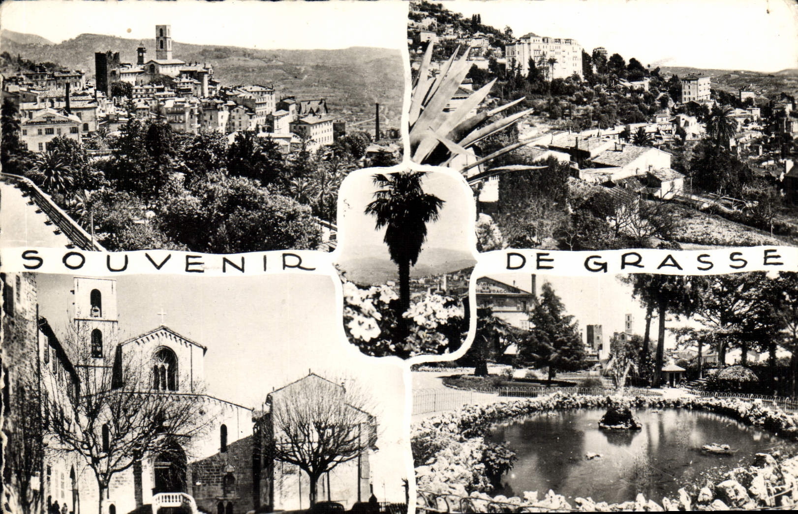 CPA Grasse souvenir