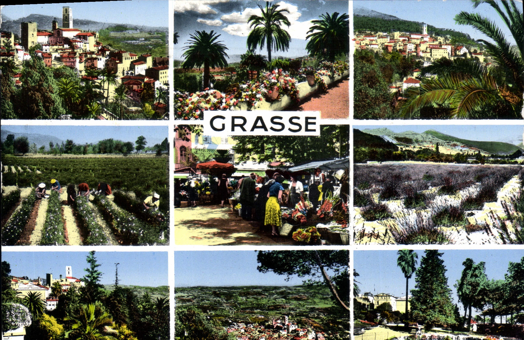 CPSM Grasse Souvenir