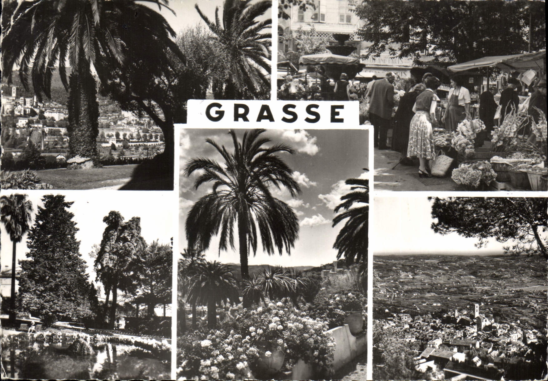 CPSM Grasse Souvenir