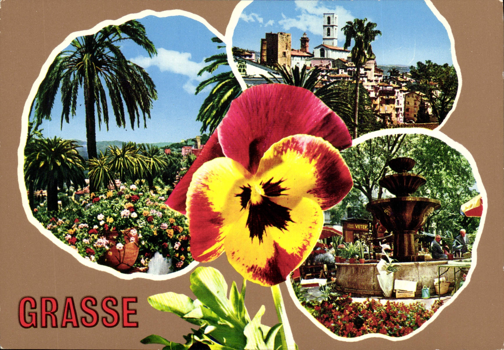 CPSM Grasse Une Pensee